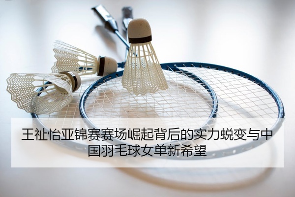 王祉怡亚锦赛赛场崛起背后的实力蜕变与中国羽毛球女单新希望